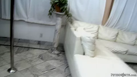 Adorable brunette sucks and gets boned