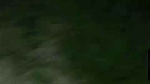 Pulled euro fucking outdoors for cash