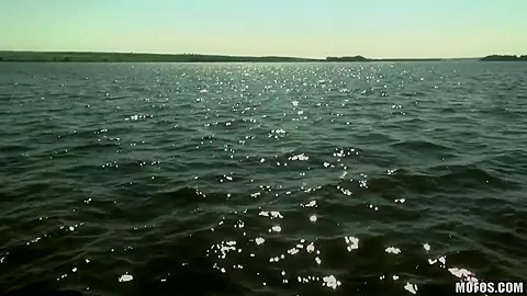 Seductive chick is giving nice blowjob on a boat