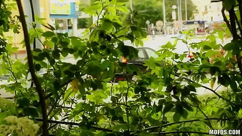 Naughty whore Terry Palomino doing a marvelous blowjob outdoors