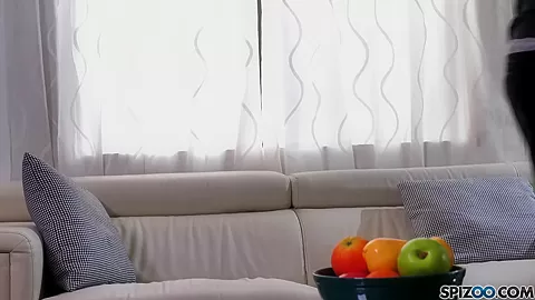 The Party Family - Spizoo