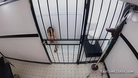 Don't Take Rides From Strangers - Blaire Celeste - Part 5 of 5 - CaptiveClinic