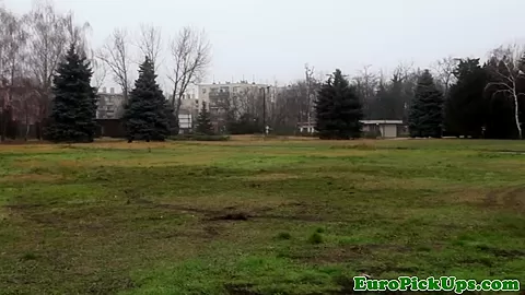 Pickedup euro babe throating cock pov