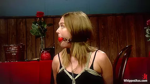 The Lounge Singer And The Thieving Waitress