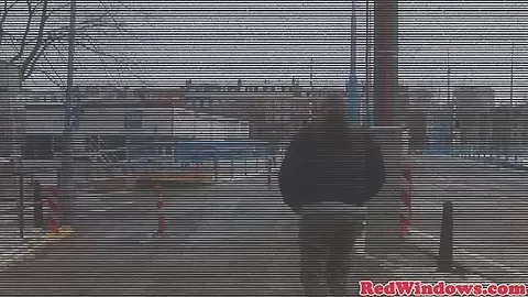 Doggystyled amsterdam hooker fucks tourist
