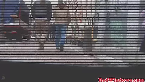 Doggystyled amsterdam hooker fucks tourist