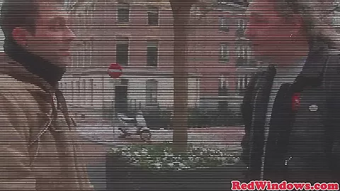Doggystyled amsterdam hooker fucks tourist