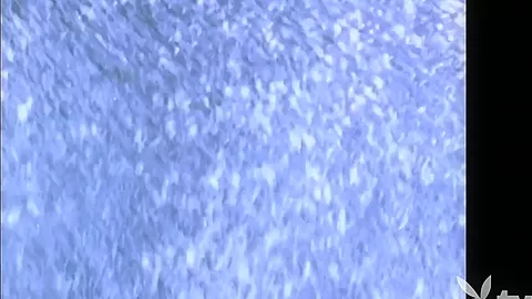 Incredible pornstar in Horny Big Tits, Reality sex movie