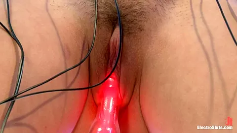 Electrosex Fucking