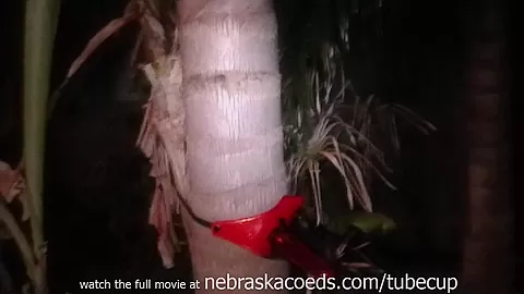 Strapon Sex With A Tree Home Video