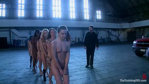 Day 1 Seven Slave Intake