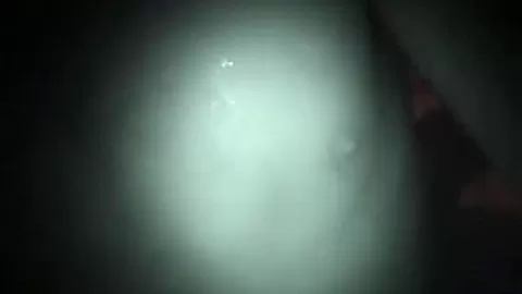 Couple get naked on pool licking pussy POV