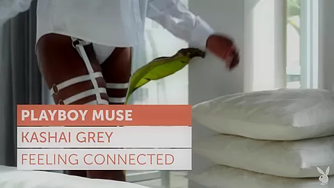 Kashai Grey in Feeling Connected - PlayboyPlus