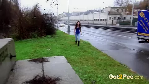 Got2### Public ### Compilation 002