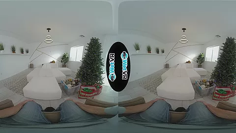 VR Christmas - WetVR