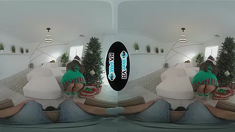 VR Christmas - WetVR