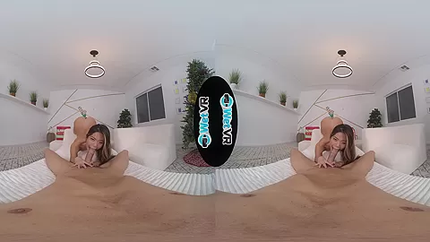 VR Christmas - WetVR