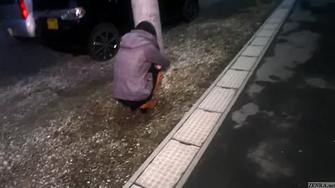 Subtitled Japanese faceless ghost spooky lesbian foreplay