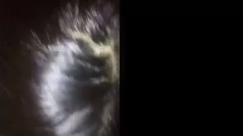 Asian Fetish Pov Style