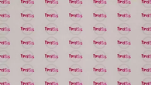 S1E1 - Tiny Scheming Stepsis - TinySis