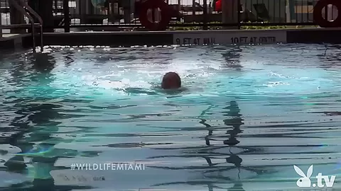 THE WILD LIFE : MIAMI, Season #1 Ep.4