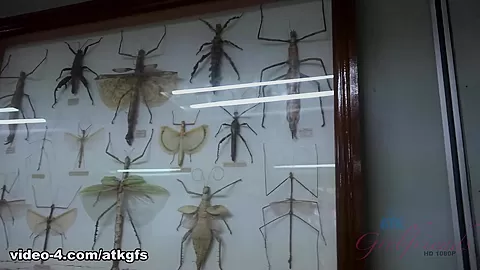 Elena Is Having The Best Time In Malaysia - ATKGirlfriends