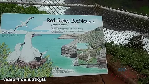 You And Nina Explore The Island, Then You Make Her Cum - ATKGirlfriends