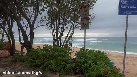 You Explore Some Beaches With Ariel - ATKGirlfriends