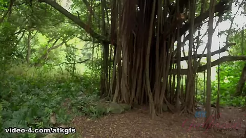 You Take Hime Out For The Day, And Play With Her Pussy - ATKGirlfriends