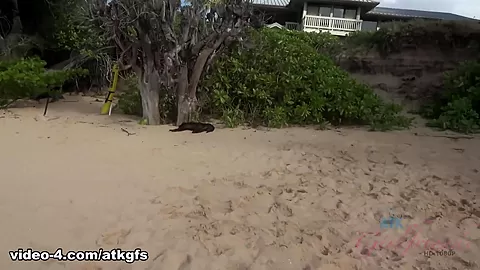 Time To Spend A Day Out And Snorkel With Jade - ATKGirlfriends