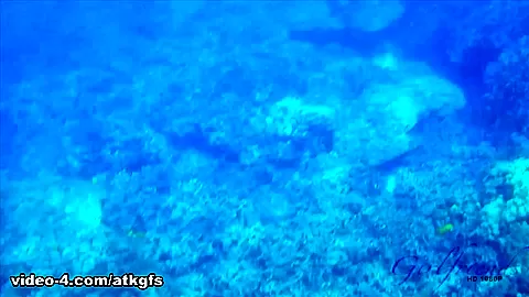 After A Snorkel At The Beach, Hime Sucks You Off - ATKGirlfriends