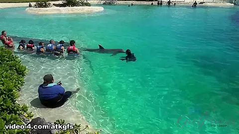 Jade Meets Some Dolphins, Has A Luau, And Gets Off In The Car With You - ATKGirlfriends