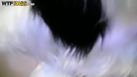 A sex party with a panda is a good sex party
