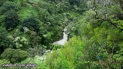 Carolina Loves The Waterfall, And You Making Her Cum In Public - ATKGirlfriends