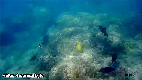 Rosalyn Checks Out The Aquarium, And Does Some Snorkeling - ATKGirlfriends