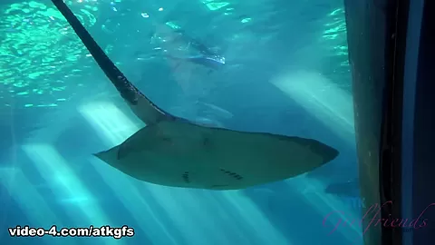 Rosalyn Checks Out The Aquarium, And Does Some Snorkeling - ATKGirlfriends
