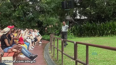Kenzie Loves The Wildlife Park In Singapore - ATKGirlfriends