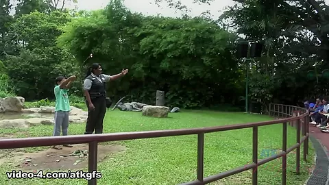 Kenzie Loves The Wildlife Park In Singapore - ATKGirlfriends
