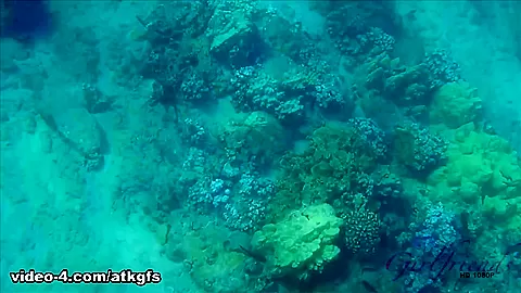 You Take Rosalyn Out For The Day And Finish With Some Snorkeling - ATKGirlfriends