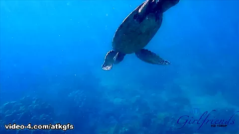 You Take Rosalyn Out For The Day And Finish With Some Snorkeling - ATKGirlfriends