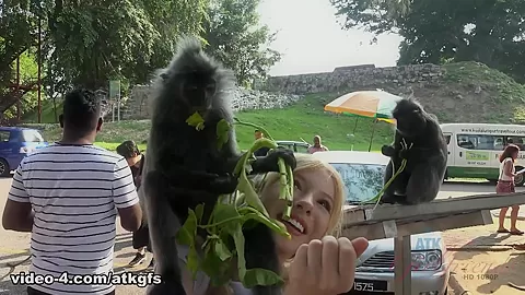 Kenzie Meets Some Monkeys, And They Love Her - ATKGirlfriends