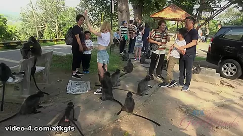 Kenzie Meets Some Monkeys, And They Love Her - ATKGirlfriends