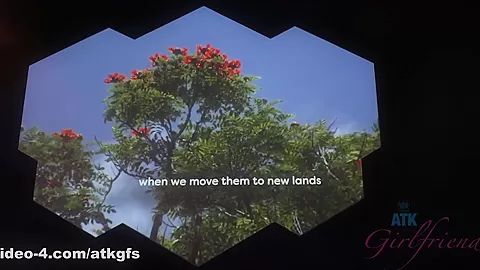 Jill Travels To Asia With You, And You Start In Singapore - ATKGirlfriends
