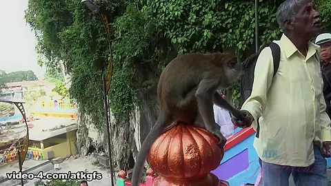 Kenzie Meets A Lot Of Wildlife Today - ATKGirlfriends