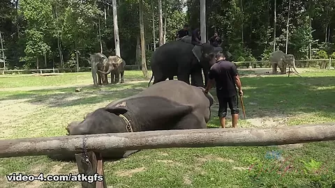 Kenzie Meets A Lot Of Wildlife Today - ATKGirlfriends