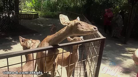 Kenzie Meets A Lot Of Wildlife Today - ATKGirlfriends