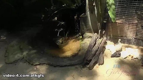 Kenzie Meets A Lot Of Wildlife Today - ATKGirlfriends