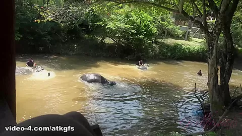 Kenzie Meets A Lot Of Wildlife Today - ATKGirlfriends
