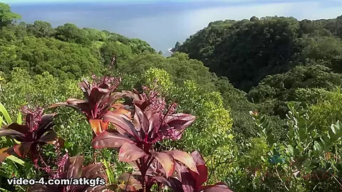 You Explore The Island With Vina, And She Squirts In The Car - ATKGirlfriends