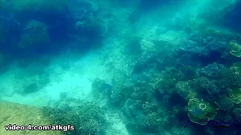 You And Kenzie Enjoy A Day Underwater - ATKGirlfriends